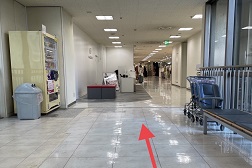 東急百貨店さっぽろ店 アクセス 7:エレベーターを出て右へ進むと当店が見えてまいります。