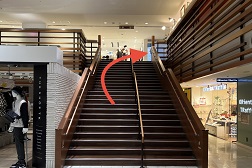 BIGBOX高田馬場店 アクセス 4:館内へ入って目の前の階段をお上り下さい。