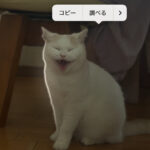 iPhone修理なら【モバイル修理 救急便】へ